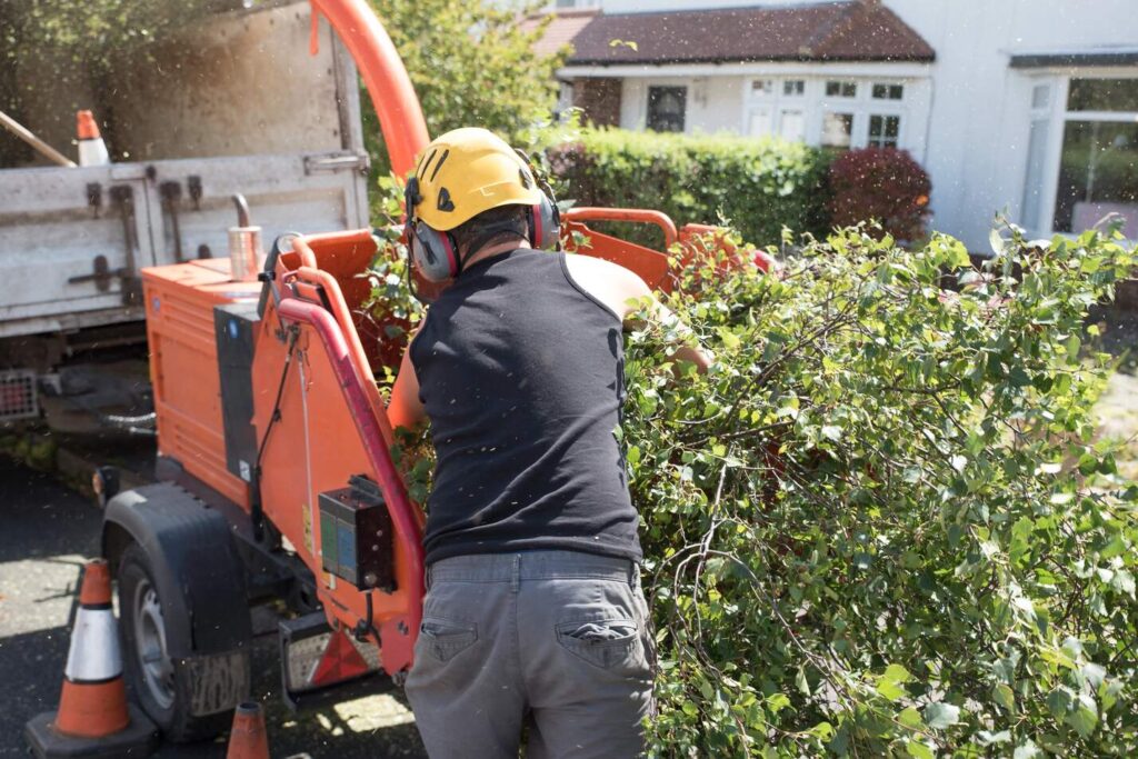 shrub removal