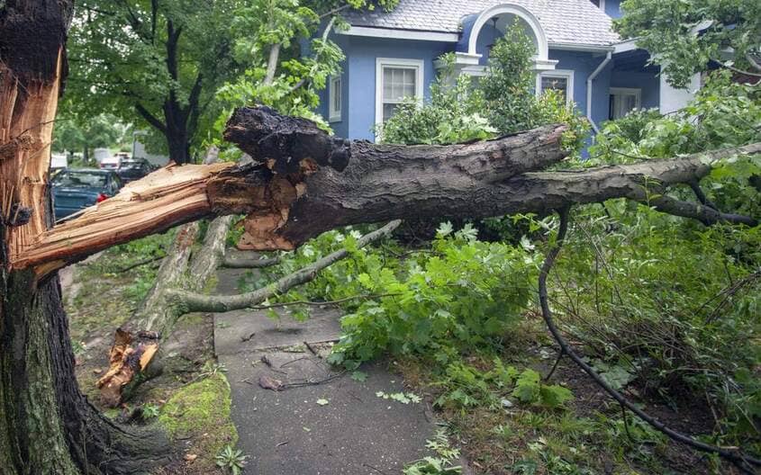 emergency tree storm Galesburg il (1) emergency tree storm Galesburg il (1)