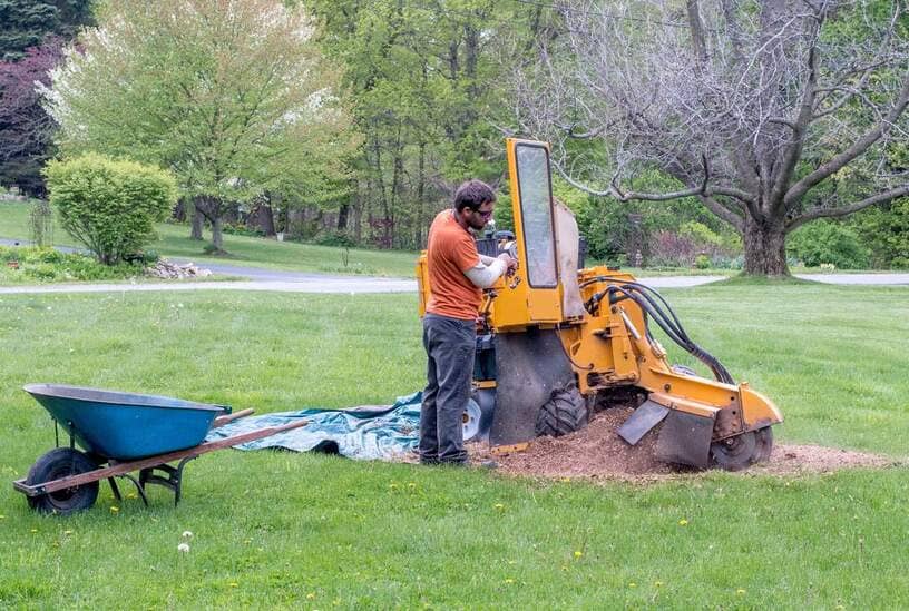 stump grinding galesburg il (1) stump grinding galesburg il (1)