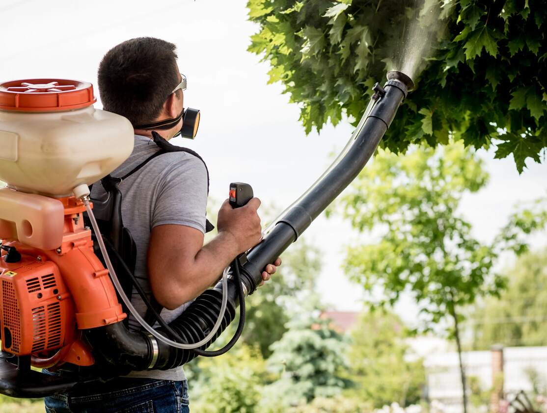 tree insect and disease control Galesburg il tree insect and disease control Galesburg il