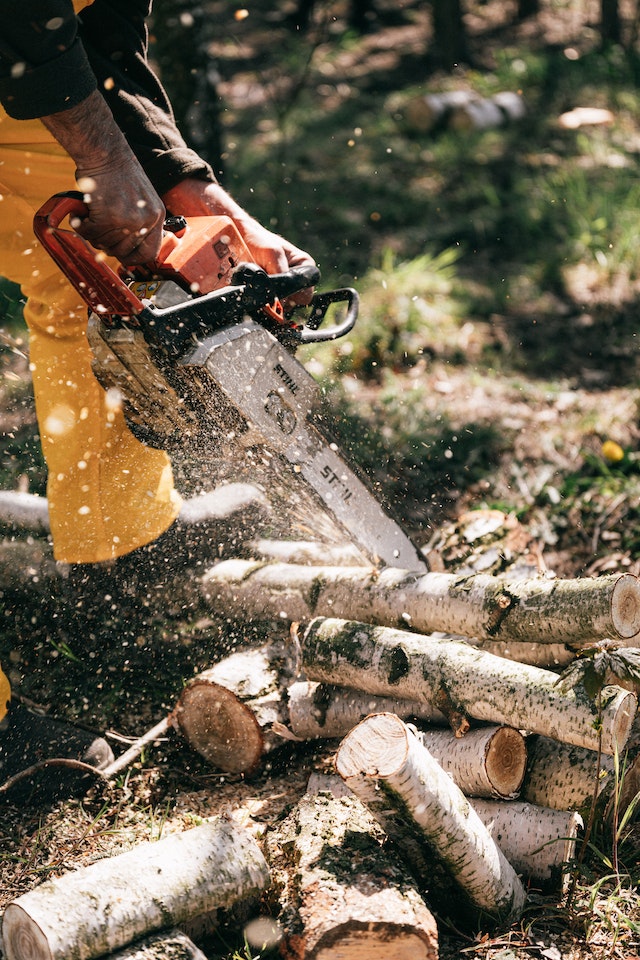 tree service in galesburg il tree service in galesburg il